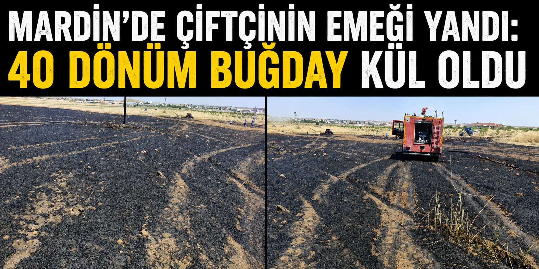 Mardin'de Çiftçinin Emeği Yandı: 40 Dönüm Buğday Kül Oldu
